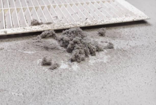 Best Dryer Vent Cleaning Services  in Germantown Hls, IL