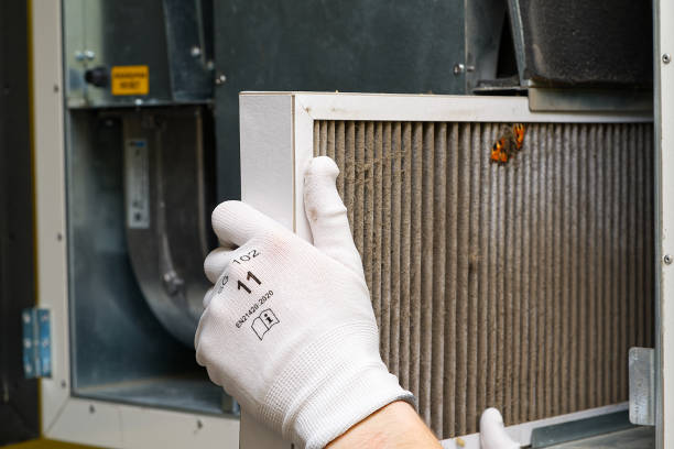 Best HVAC Duct Inspection Services  in Germantown Hls, IL